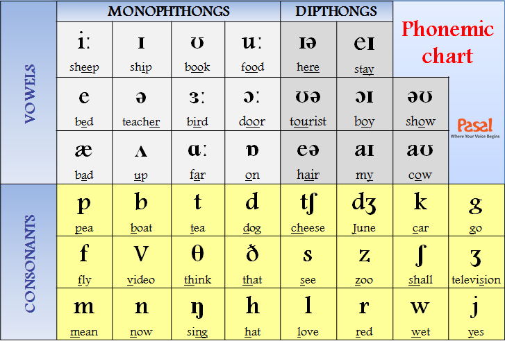 symbols examples pdf phonetic with 44 âm má»›i Luyá»‡n phát âm báº¯t cho IPA tiáº¿ng 44 Ä‘áº§u ngÆ°á»i Anh