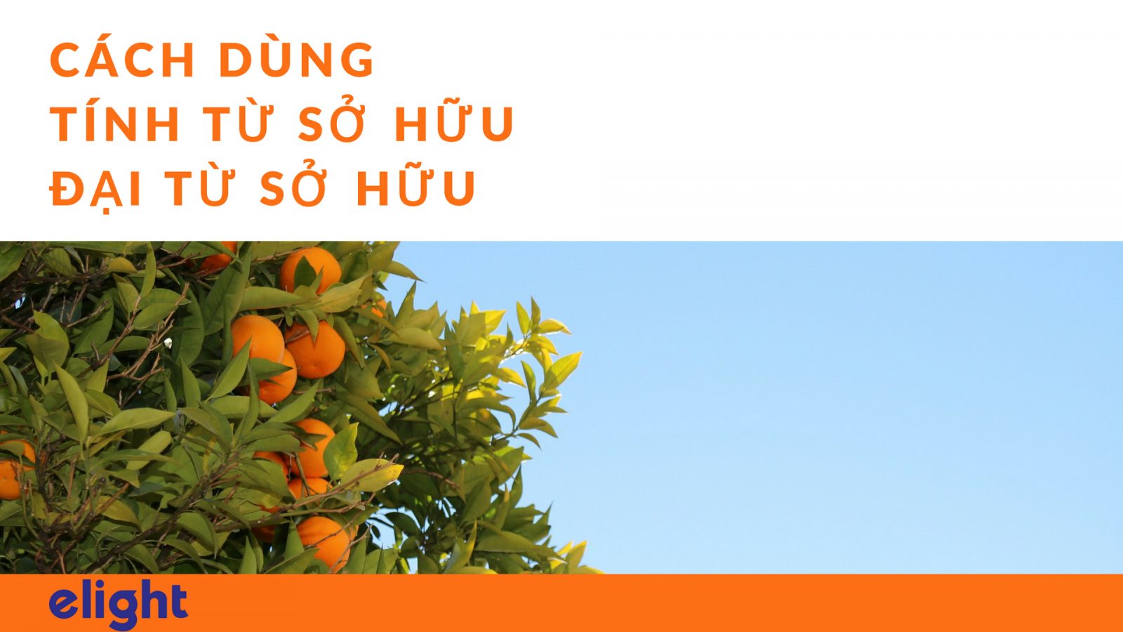 Tính Từ Sở Hữu (Possessive Adjectives) & Đại Từ Sở Hữu (Possessive Pronouns)