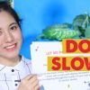 Học tiếng Anh qua bài hát Let Me Down Slowly | Có kèm Lyrics và Vietsub