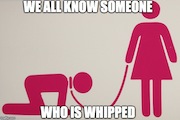 whipped là gì?