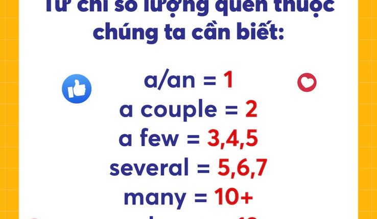 Lượng từ trong tiếng Anh – Các từ chỉ số lượng phổ biến bạn cần biết!