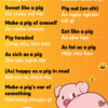 Top 10 thành ngữ tiếng Anh với từ PIG cực thú vị!