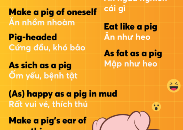 Top 10 thành ngữ tiếng Anh với từ PIG cực thú vị!