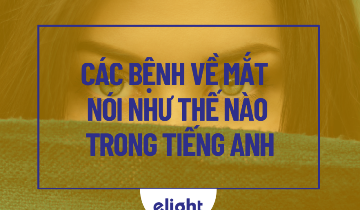 Khám phá trọn bộ từ vựng các bệnh về mắt trong tiếng Anh