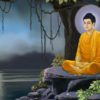 Buddha Quotes – Lời phật dạy