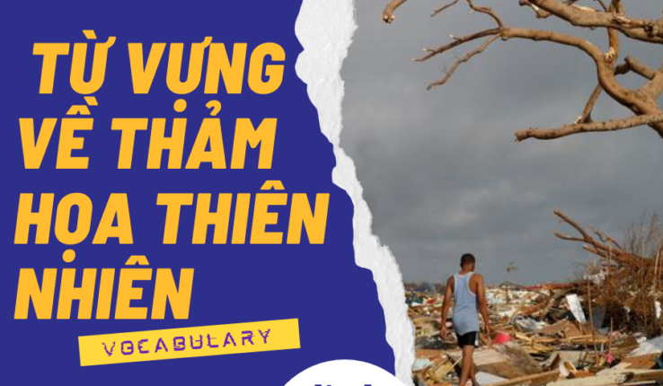 Tổng hợp từ vựng về thảm họa thiên nhiên trong tiếng Anh
