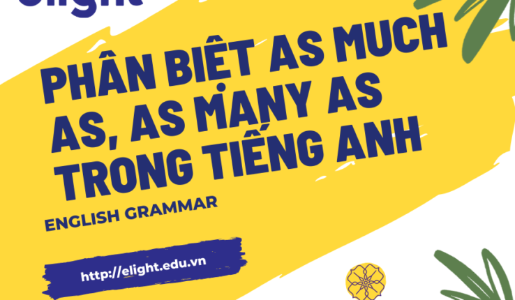 Phân biệt as much as, as many as trong tiếng Anh