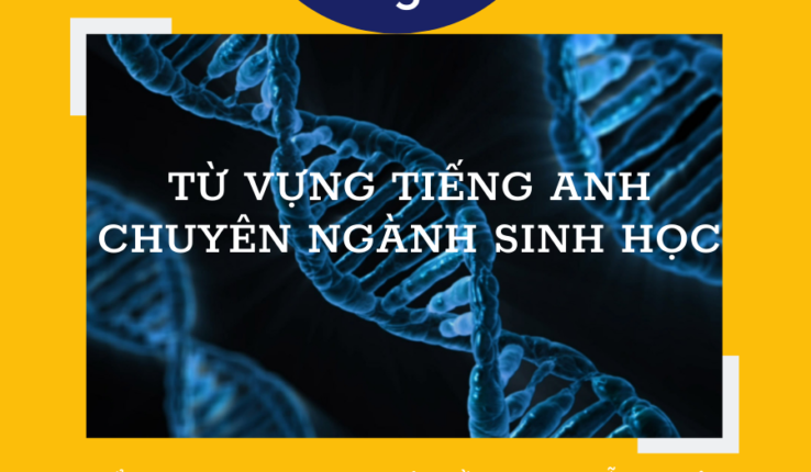 Từ vựng tiếng Anh chuyên ngành Sinh học theo chủ đề (phần 1) 
