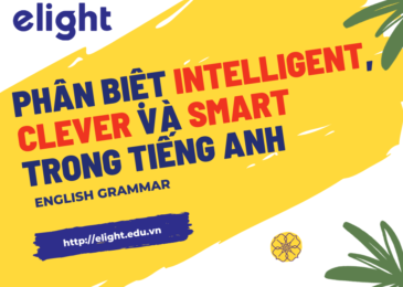 Phân biệt intelligent, clever và smart trong tiếng Anh