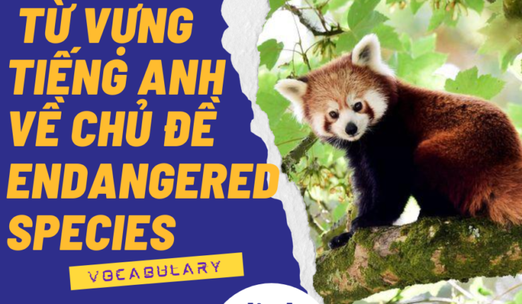 Từ vựng tiếng Anh chủ đề: ENDANGERED SPECIES