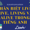 Phân biệt live, life, living và alive trong tiếng Anh