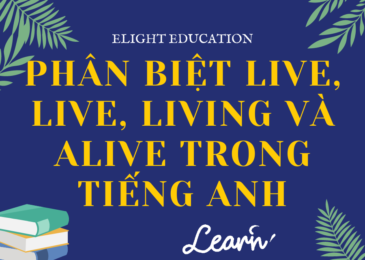 Phân biệt live, life, living và alive trong tiếng Anh