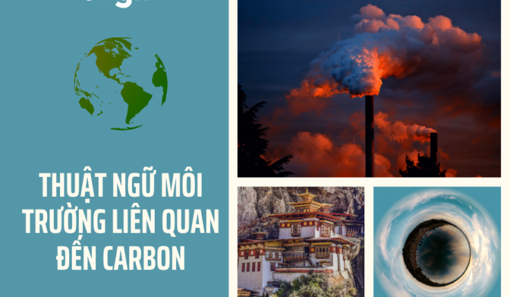 Hiểu hơn về môi trường qua những thuật ngữ liên quan đến carbon
