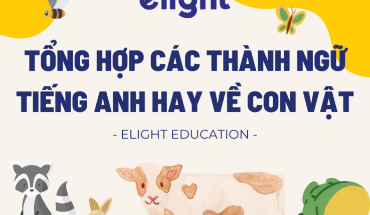 Tổng hợp các thành ngữ tiếng Anh hay về con vật
