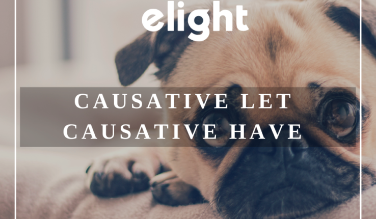 Các mức độ khác nhau của câu cầu khiến: Let và Have