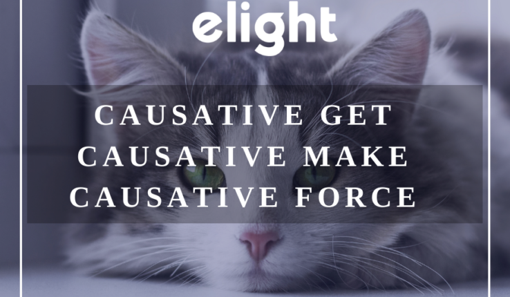 Các mức độ khác nhau của câu cầu khiến: Get, Make và Force