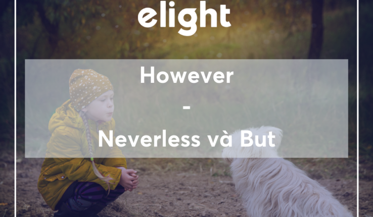 Phân biệt cách sử dụng của However so với But và Neverless