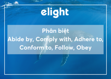 Phân biệt Abide by, Comply with, Adhere to, Conform to, Follow và Obey