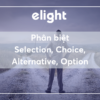 Phân biệt từ đồng nghĩa Selection, Choice, Alternative, Option