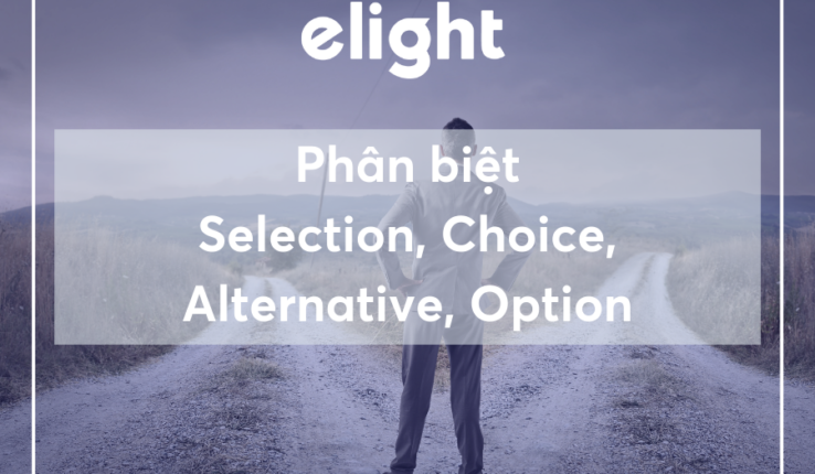 Phân biệt từ đồng nghĩa Selection, Choice, Alternative, Option