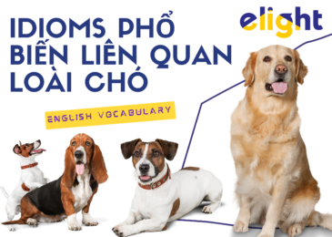 Idioms về loài chó: 15+ thành ngữ phổ biến liên quan loài chó