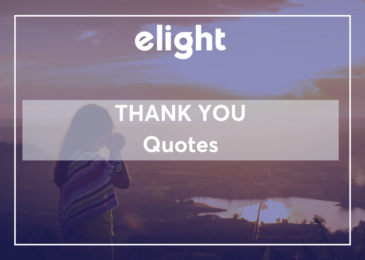 Những câu trích dẫn hay nhất về lời cảm ơn – thank you quotes