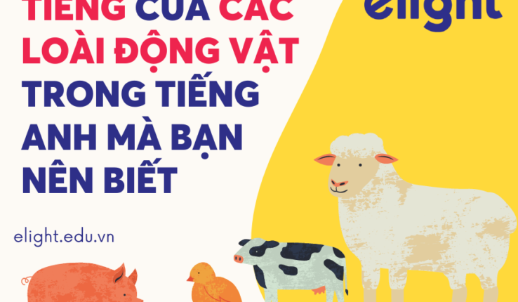Tiếng của các loài động vật trong tiếng Anh mà bạn nên biết