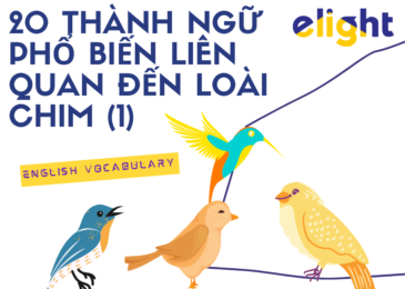 Idioms về loài chim: 20+ thành ngữ phổ biến liên quan đến loài chim (1)
