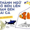 Idioms về loài cá: 15 thành ngữ phổ biến liên quan đến loài cá