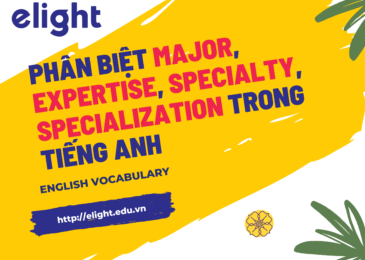Phân Biệt Major, Expertise, Specialty, Specialization
