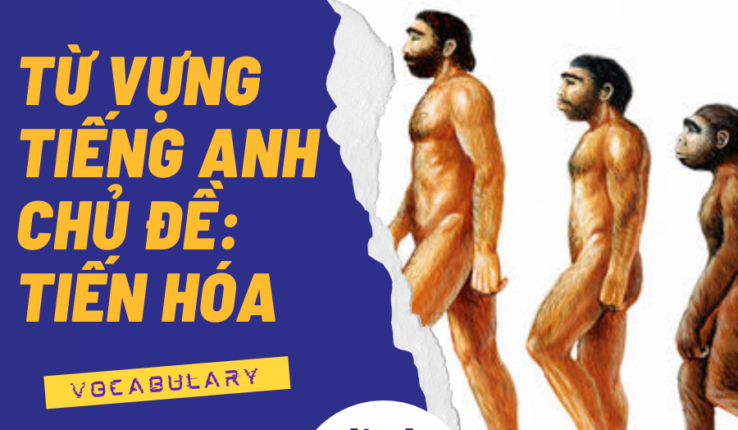 Các từ vựng tiếng Anh phổ biến về sự tiến hóa