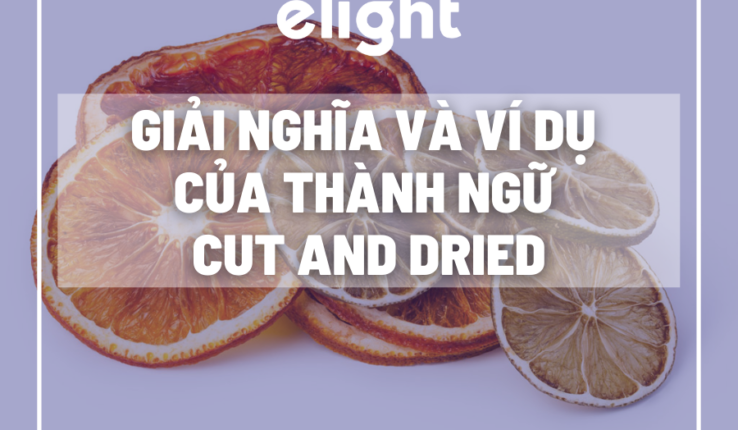 Giải nghĩa idiom: Giải nghĩa và ví dụ của thành ngữ Cut and Dried