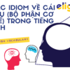 Idioms về cái đầu: Các idiom về cái đầu trong tiếng Anh