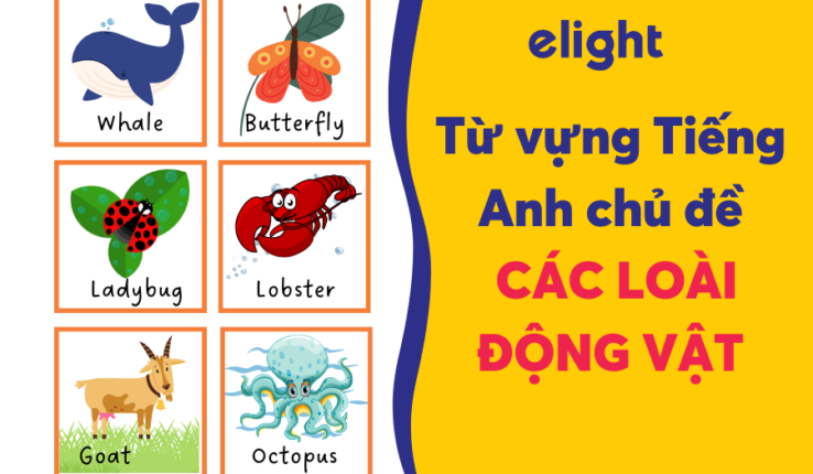 Tìm hiểu các từ vựng chủ đề động vật trong tiếng Anh